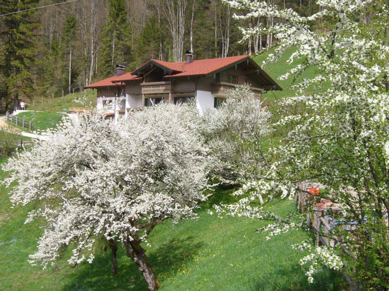 Haus Eicher Schneizlreuth Εξωτερικό φωτογραφία